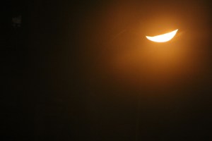 just outside my window